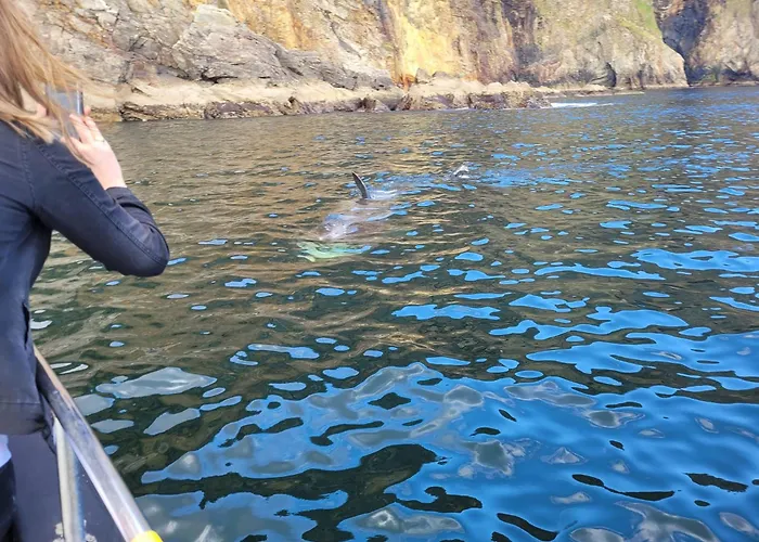 阿拉斯格里恩克尔姆希尔酒店 2*