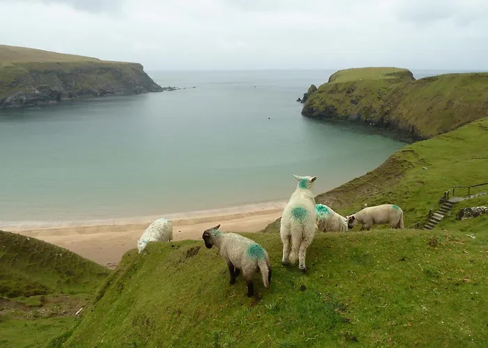 阿拉斯格里恩克尔姆希尔酒店 2* 格伦科伦基尔
