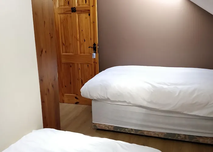 招待所 阿拉斯格里恩克尔姆希尔酒店 2*