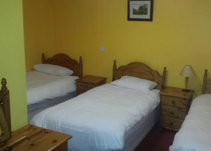 阿拉斯格里恩克尔姆希尔酒店 招待所 2*